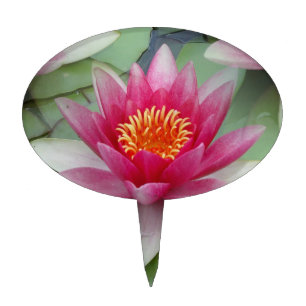 Pink Lotus Water Lily Cake Topper