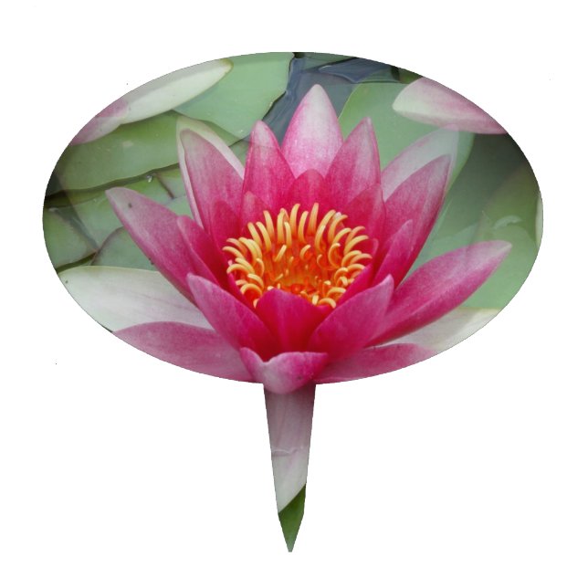 Pink Lotus Water Lily Cake Topper (Front)
