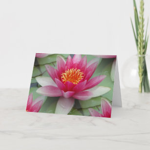 Pink Lotus Water Lily Card