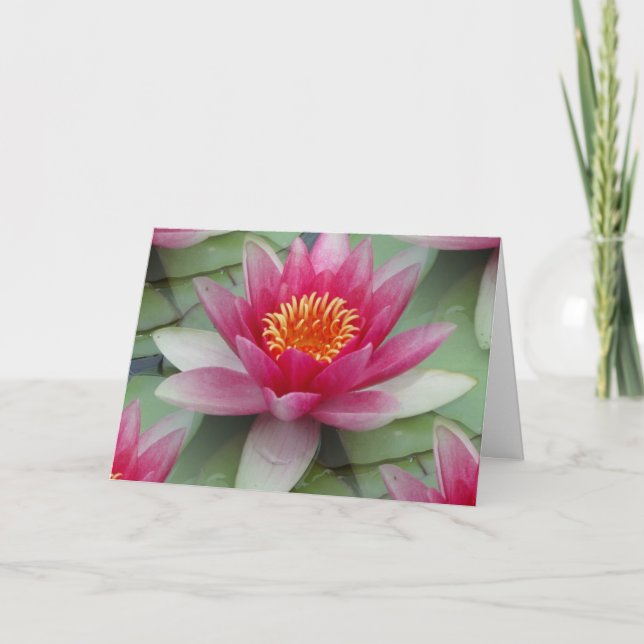 Pink Lotus Water Lily Card (Front)