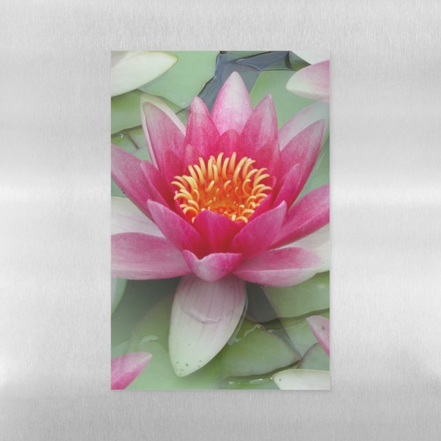 Pink Lotus Water Lily Dry Erase Magnetic Sheet (Vertical)