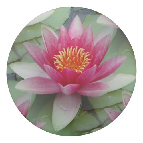 Pink Lotus Water Lily Eraser