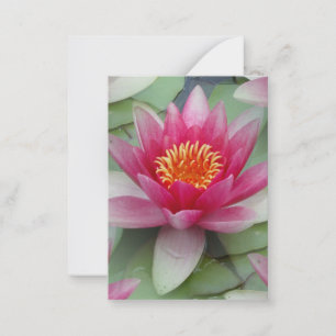 Pink Lotus Water Lily Flat Note Card