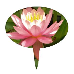 Pink lotus water lily flower cake topper