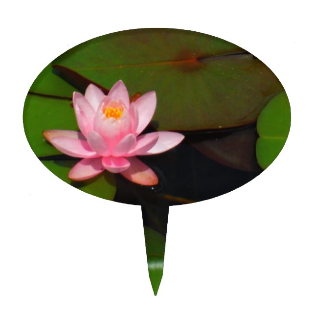 Pink lotus water lily flower  garden, cake topper (Front)