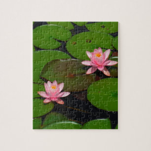 Pink lotus water lily flower garden, jigsaw puzzle