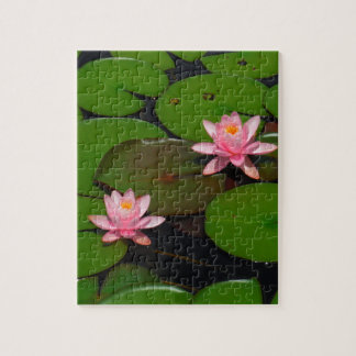 Pink lotus water lily flower garden, jigsaw puzzle
