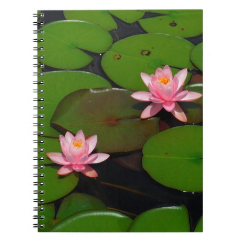 Pink lotus water lily flower  garden notebook