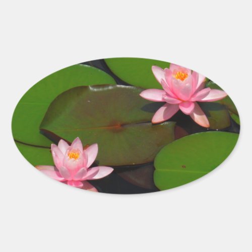 Pink lotus water lily flower  garden oval sticker