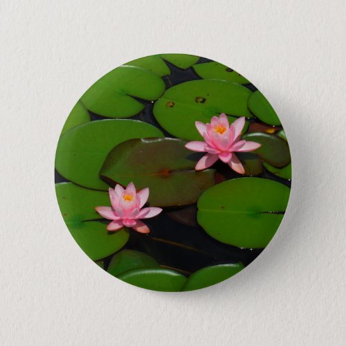 Pink lotus water lily flower  garden pinback button