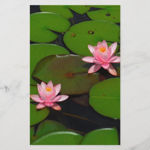 Pink lotus water lily flower  garden stationery