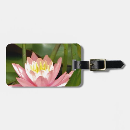 Pink lotus water lily flower luggage tag