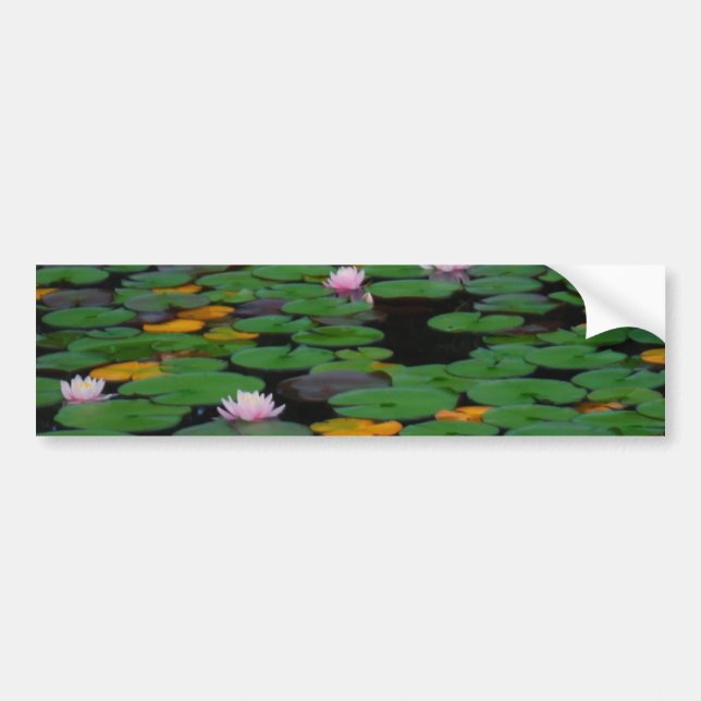 Pink lotus water lily flower pond bumper sticker (Front)