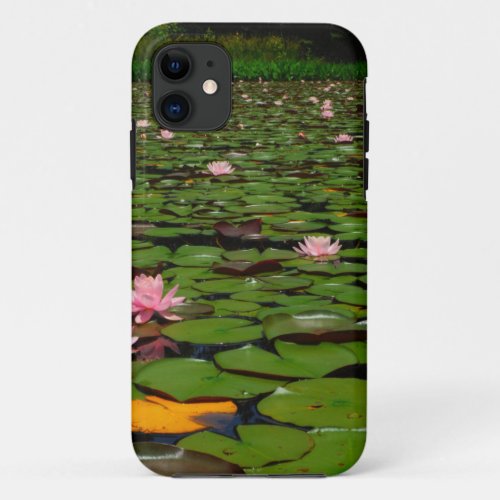 Pink lotus water lily flower pond iPhone 11 case