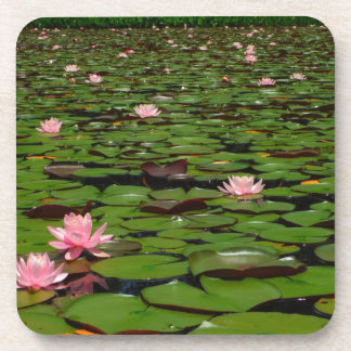 Pink lotus water lily flower pond coaster