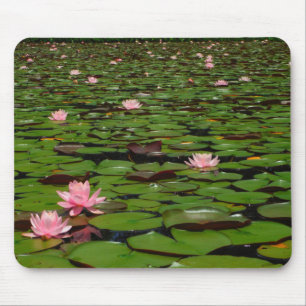 Pink lotus water lily flower pond mouse pad