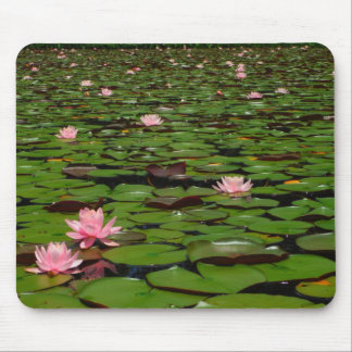 Pink lotus water lily flower pond mouse pad