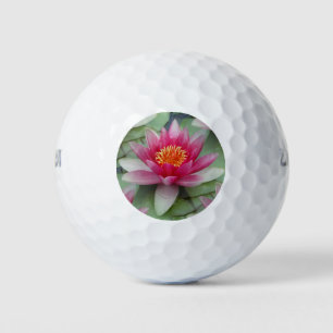 Pink Lotus Water Lily Golf Balls