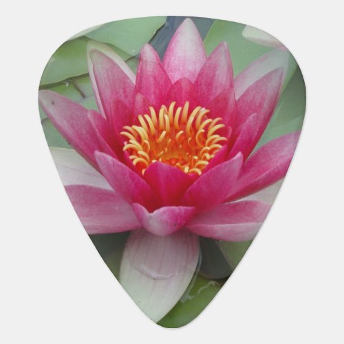 Pink Lotus Water Lily Guitar Pick