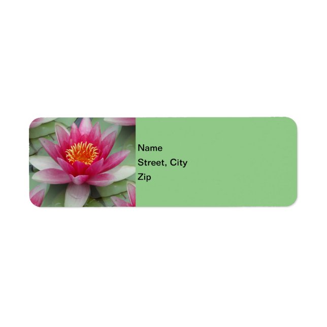 Pink Lotus Water Lily Label (Front)