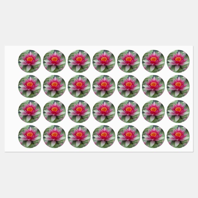 Pink Lotus Water Lily Labels (Sheet)