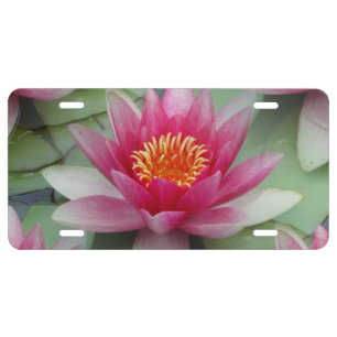 Pink Lotus Water Lily License Plate