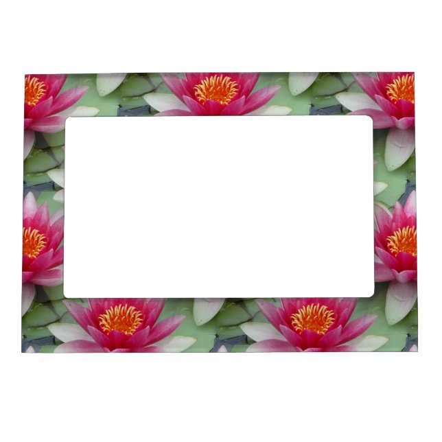 Pink Lotus Water Lily Magnetic Frame (Front)