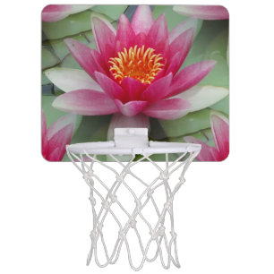 Pink Lotus Water Lily Mini Basketball Hoop