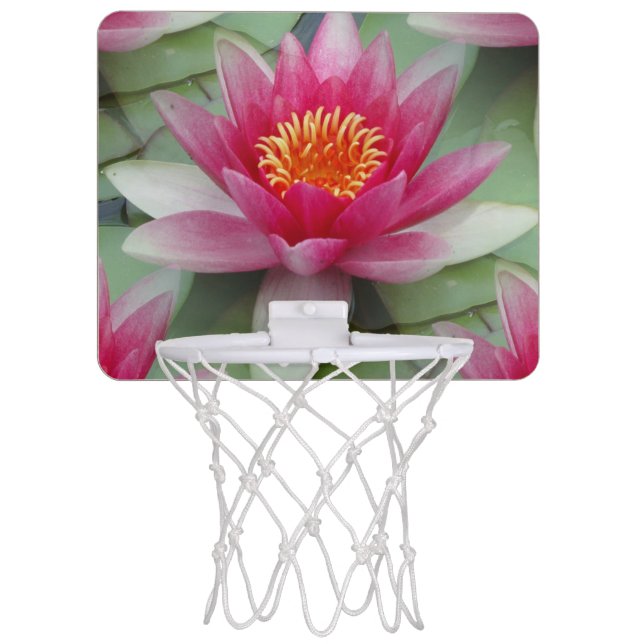 Pink Lotus Water Lily Mini Basketball Hoop (Front)