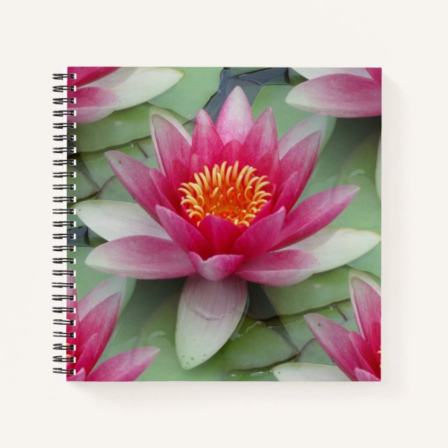 Pink Lotus Water Lily Notebook (Front)
