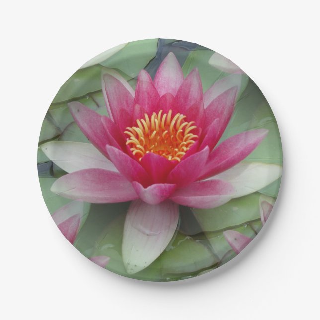 Pink Lotus Water Lily Paper Plates (Front)