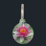 Pink Lotus Water Lily Pet ID Tag<br><div class="desc">Lovely serene pink lotus water lily.</div>
