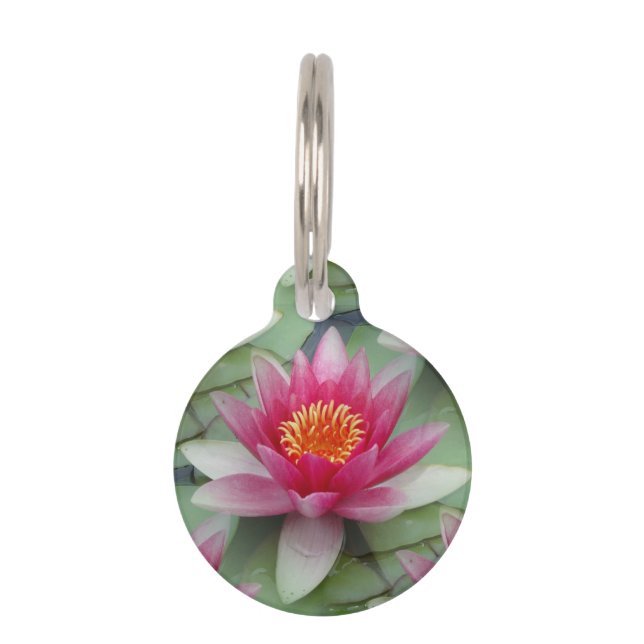 Pink Lotus Water Lily Pet ID Tag (Front)