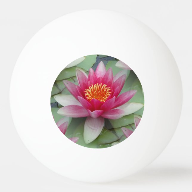 Pink Lotus Water Lily Ping Pong Ball (Front)