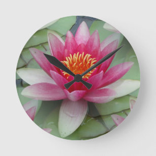 Pink Lotus Water Lily Round Clock