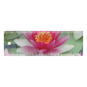 Pink Lotus Water Lily Ruler