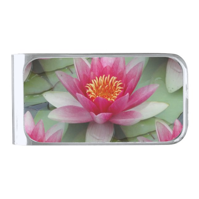 Pink Lotus Water Lily Silver Finish Money Clip (Front)