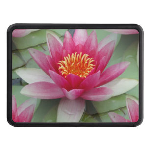 Pink Lotus Water Lily Trailer Hitch Cover
