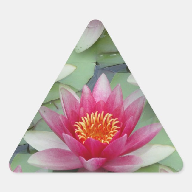 Pink Lotus Water Lily Triangle Sticker (Front)