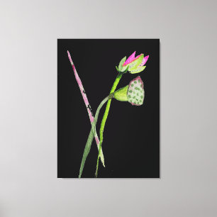 Pink Lotus watercolour Zen painting art Canvas Print