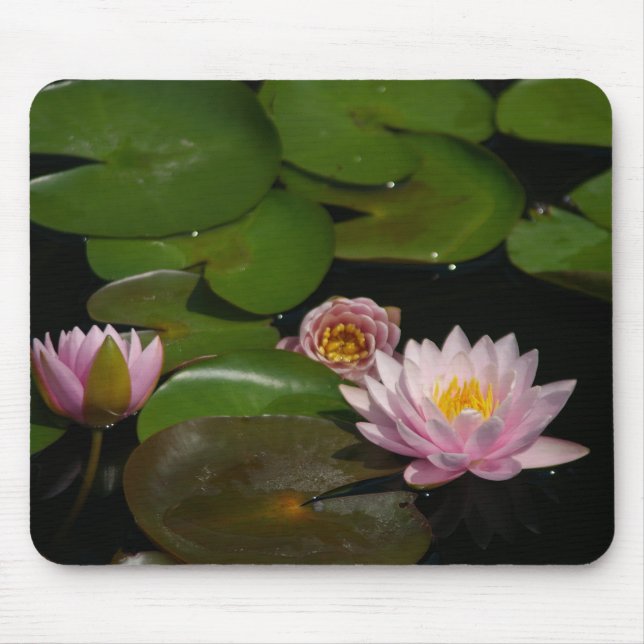 Pink Lotus Waterlilies Mouse Pad (Front)