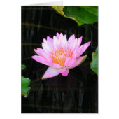 Pink Lotus Waterlily Card (Front)
