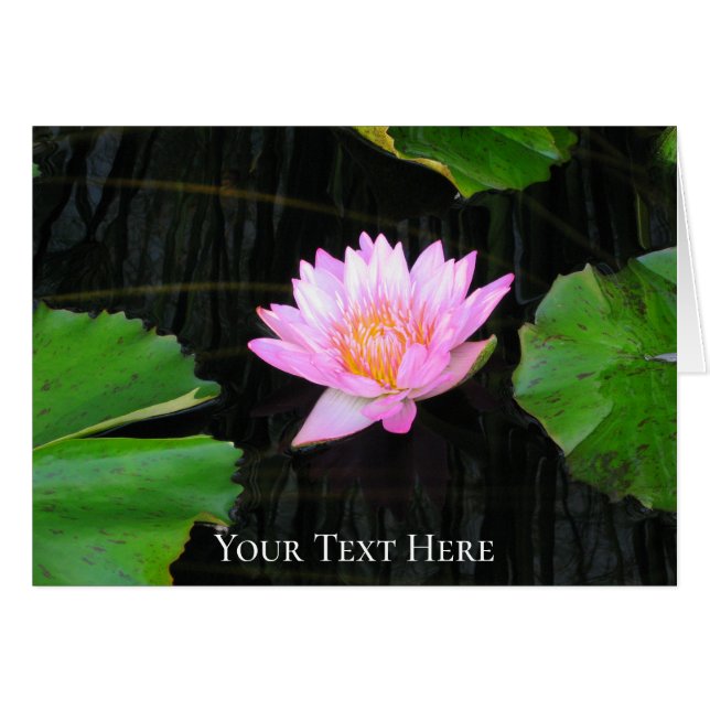 Pink Lotus Waterlily Cards (Front Horizontal)