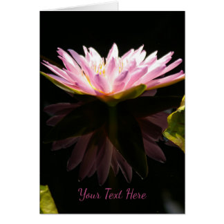 Pink Lotus Waterlily Cards