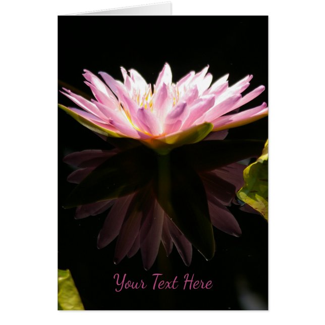 Pink Lotus Waterlily Cards (Front)