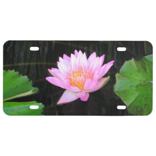 Pink Lotus Waterlily Licence Plate