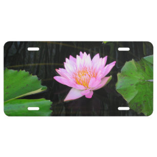 Pink Lotus Waterlily Licence Plate