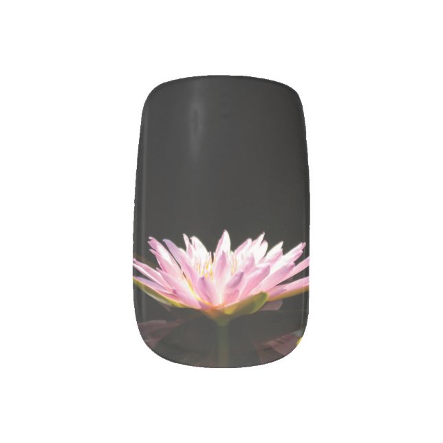 Pink Lotus Waterlily Nail Art (Left Thumb)