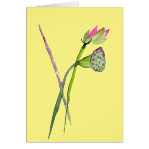 Pink Lotus Zen flower Buddhist Art Cards