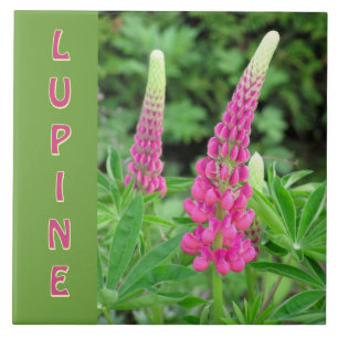 "PINK LUPINE" /FLORAL DESIGN CERAMIC TILE